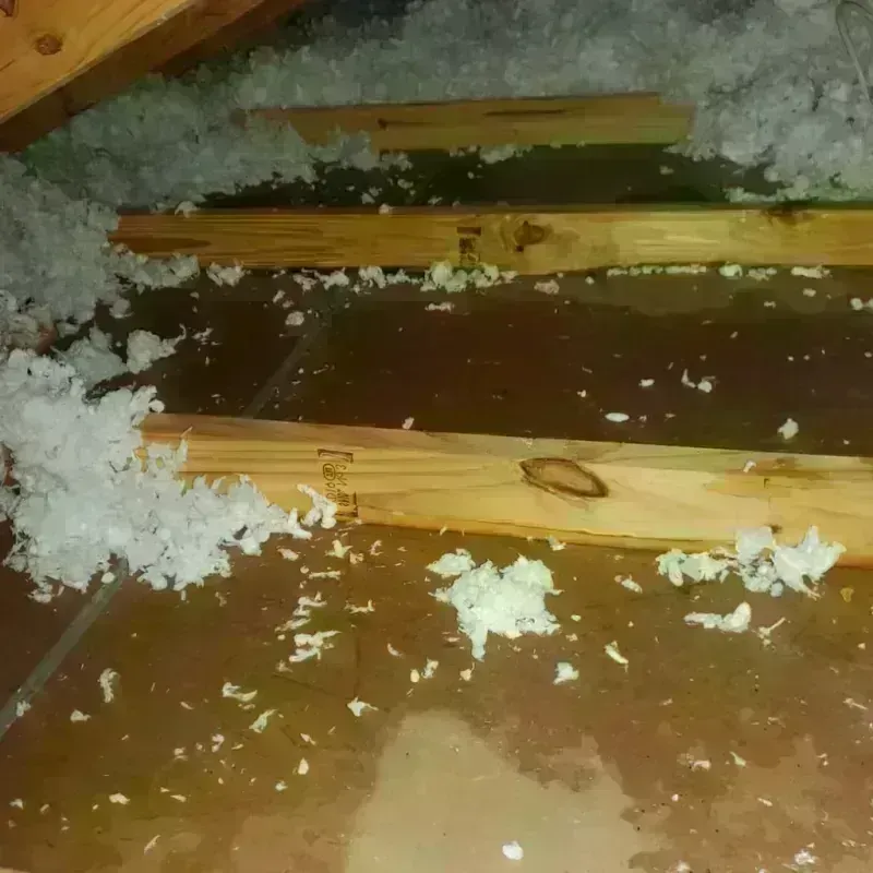 Attic Water Damage in Graton, CA